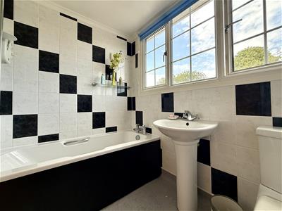 Picture 22